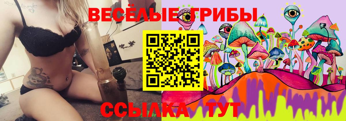 Галлюциногенные грибы Psilocybine cubensis Кирово-Чепецк